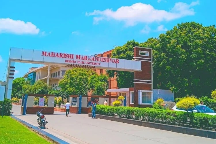 Maharishi Markandeshwar University